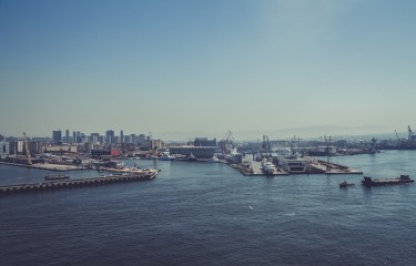 卡密自动发货的云呼炸仇人软件